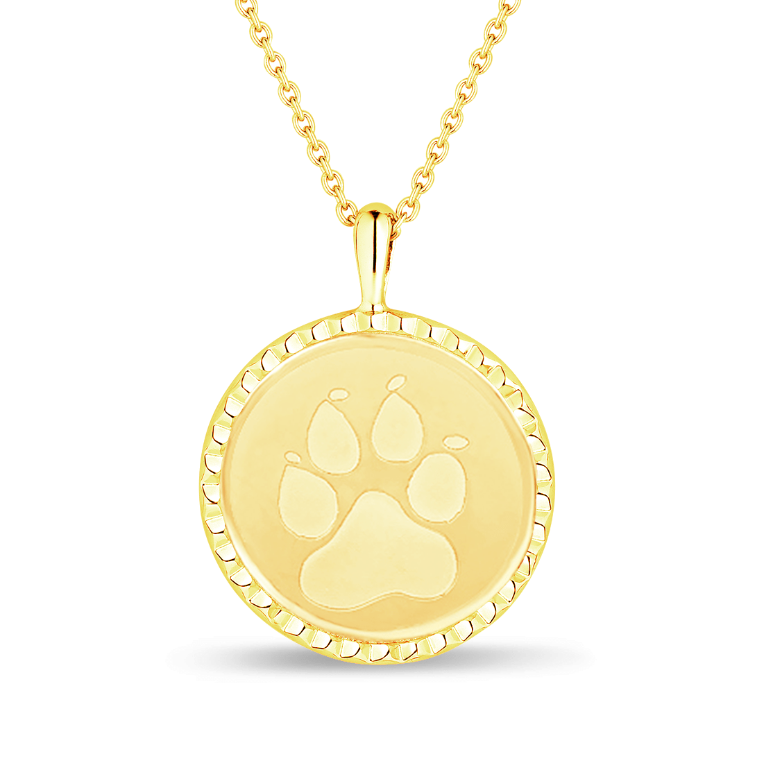 The Compass For Pet Moms 14K Solid Gold